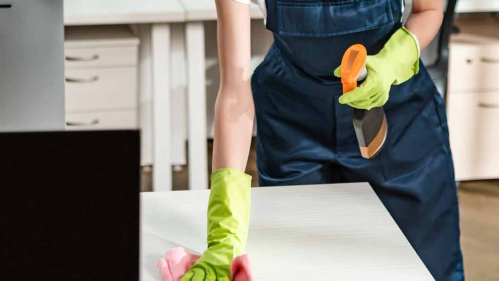 Larosa pina sas | Impresa di pulizie | Roma