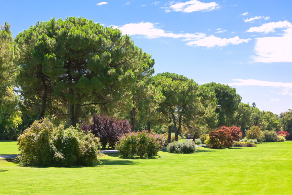 Lavori di Giardinaggio: Cura e Bellezza per il Tuo Spazio Verde
